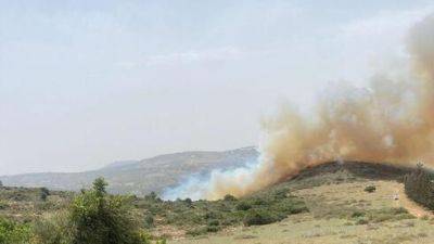 Из-за жары: лесные пожары в Израиле, людей эвакуируют