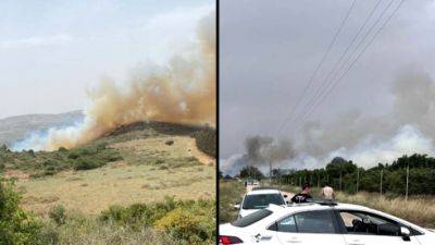 Жара и ветер в Израиле: 120 пожаров, поваленные деревья