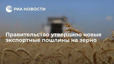 Правительство утвердило повышение экспортных пошлин на пшеницу, ячмень и кукурузу с 1 июня