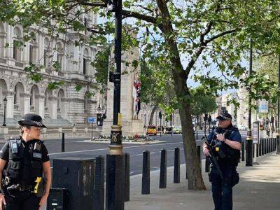 Полиция отпустила мужчину, который въехал в ворота резиденции британского премьера