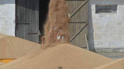 Правительство РФ утвердило повышение экспортных пошлин на зерно