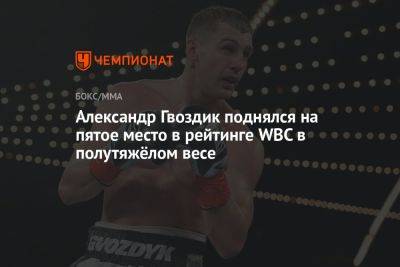 Александр Гвоздик поднялся на пятое место в рейтинге WBC в полутяжёлом весе