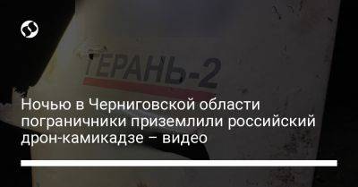 Ночью в Черниговской области пограничники приземлили российский дрон-камикадзе – видео