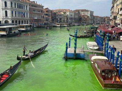 Венеция: вода Гранд-канала стала зеленой: видео - unn.com.ua - Украина - Киев - Париж - Аргентина - Венеция