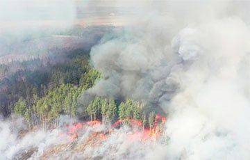 За прошедшие сутки в Беларуси произошло 10 лесных пожаров