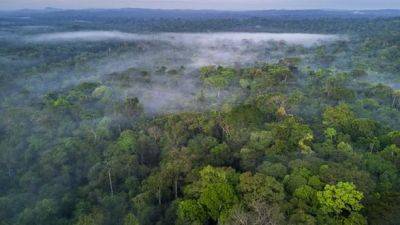 Луис Инасиу Лула - Бразилия проведет климатический саммит COP30 в Амазонии в 2025 году - unn.com.ua - Китай - Украина - Киев - Египет - Бразилия - Париж - Саудовская Аравия - Копенгаген