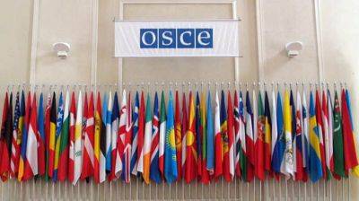 ОБСЕ грозит распад из-за России и Беларуси – МИД Финляндии