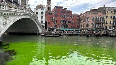 Вода Гранд-канала в Венеции окрасилась в зеленый цвет