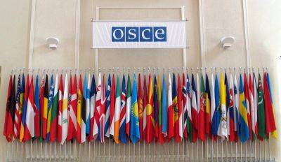 Кризис в ОБСЕ: Россия и Беларусь не дают Эстонии занять пост страны-председательницы
