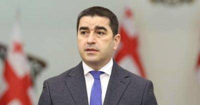 Спикер парламента Грузии — о шагах навстречу России: объявил страну "стратегическими терпилами"
