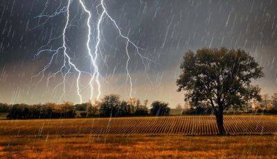 Синоптик предупредила о дождях с грозами в некоторых регионах Украины