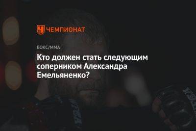 Кто должен стать следующим соперником Александра Емельяненко?