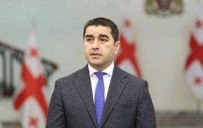 В парламенте Грузии отношения с РФ назвали стратегической политикой терпения