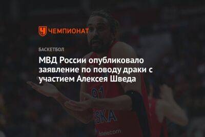 Ирина Волк - Алексей Швед - МВД России опубликовало заявление по поводу драки с участием Алексея Шведа - championat.com - Москва - Россия