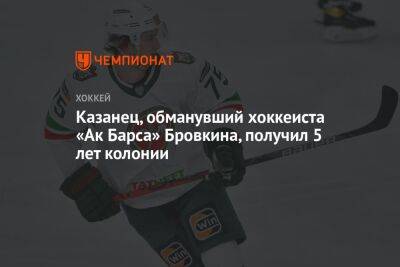 Казанец, обманувший хоккеиста «Ак Барса» Бровкина, получил 5 лет колонии