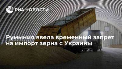 Румыния ввела временный запрет на импорт зерна, кукурузы, подсолнечника и рапса с Украины