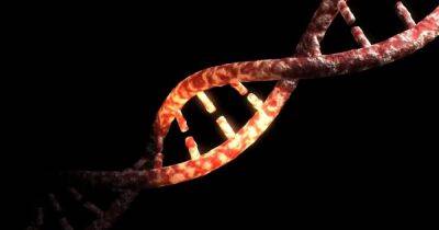 Анализ ДНК сотен видов животных проливает свет на происхождение болезней человека