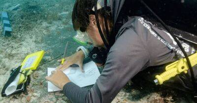 Могила на дне океана: в США морские археологи обнаружили подводную больницу (фото)