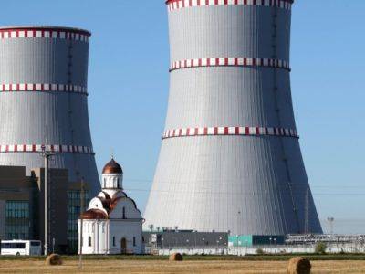 В Литве призывают остановить Белорусскую АЭС