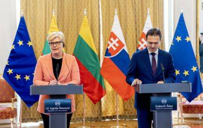 Шимоните обсудила с премьером Словакии поддержку Украины, саммит НАТО в Вильнюсе