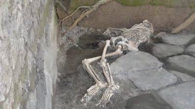 Помпеи раскрывает свои тайны: обнаружены еще три скелета