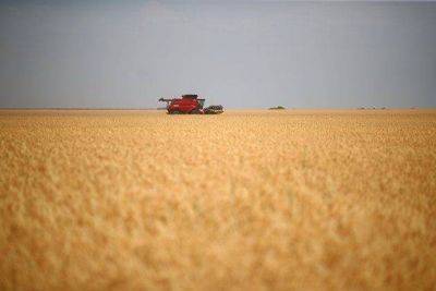 Котировки пшеницы в Чикаго упали на 1,5 процента на обильном предложении российских зерновых