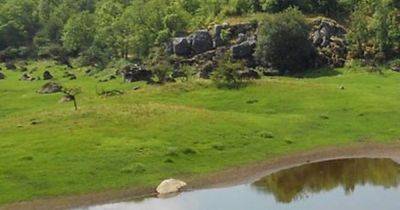 Построили 3200 лет назад: в парке Ирландии за деревьями скрывалась древняя крепость (фото)