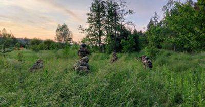 "Поздравили" с Днем пограничника: в РДК сообщили о новой вылазке на территорию РФ (фото)