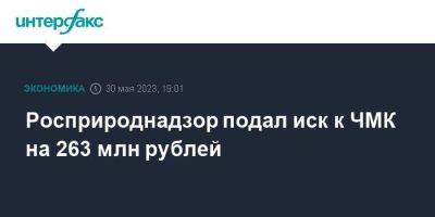 Росприроднадзор подал иск к ЧМК на 263 млн рублей