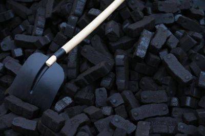 Bloomberg: ненужный Европе уголь поставляется в Китай и Индию
