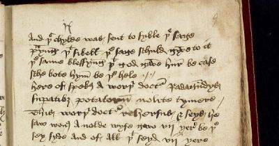 Уильям Шекспир - Робин Гуд - Стендап из 15-го века. В Британии найдена рукопись с "непристойным" выступлением менестреля - focus.ua - Украина - Англия - Шотландия - Великобритания