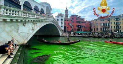 От террористов до ядовитых химикатов: почему воды Венеции стали неоново-зелеными