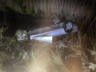 В Киевской области в водоеме вместе с машиной утонул водитель и его пес бульдог – полиция