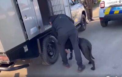 В Ирпене полиция изъяла из частного питомника бойцовских собак