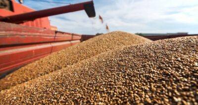 ЕК ограничила свободное обращение зерна с Украины в пяти европейских странах до 5 июня