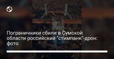 Пограничники сбили в Сумской области российский "стимпанк"-дрон: фото