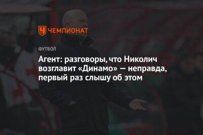 Агент: разговоры, что Николич возглавит «Динамо», — неправда, первый раз слышу об этом