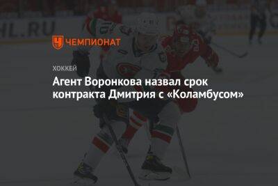 Агент Воронкова назвал срок контракта Дмитрия с «Коламбусом»