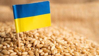 Польский запрет на импорт зерна стоил Украине $143 миллиона — Минэкономики
