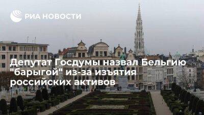 Депутат Диденко назвал Бельгию барыгой из-за изъятия российских активов для помощи Украине
