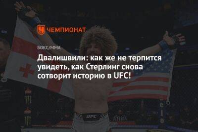 Генри Сехудо - Доминик Круз - Мераб Двалишвили - Двалишвили: как же не терпится увидеть, как Стерлинг снова сотворит историю в UFC! - championat.com - Грузия