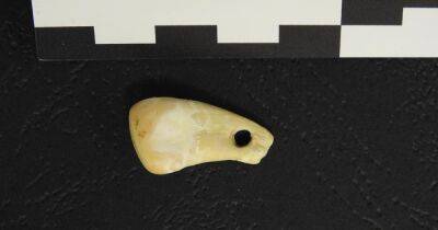 Модница из палеолита. Ученые по ДНК установили, кому принадлежала подвеска из зуба оленя - focus.ua - Украина - Находка