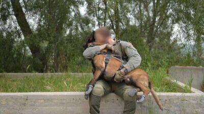 Погибшего в ходе операции в Шхеме пса Джанго похоронили с воинскими почестями