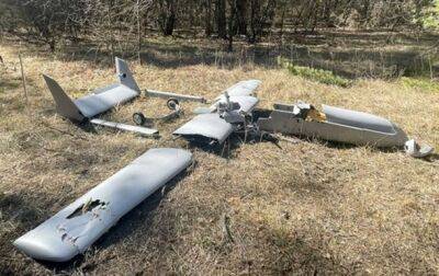 В РФ заявили о находке "трехметрового дрона" в поле