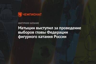 Матыцин выступил за проведение выборов главы Федерации фигурного катания России