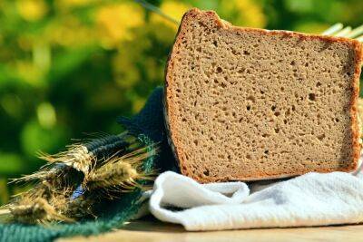Отзыв хлеба в Германии: в этом продукте найден растительный яд