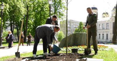 В центре столицы появится "Аллея друзей Киева", уже высажены первые деревья, - Виталий Кличко