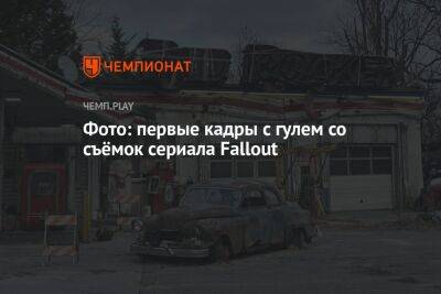 Фото: первые кадры с гулем со съёмок сериала Fallout