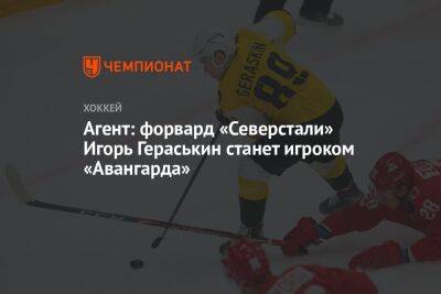 Агент: форвард «Северстали» Игорь Гераськин станет игроком «Авангарда»