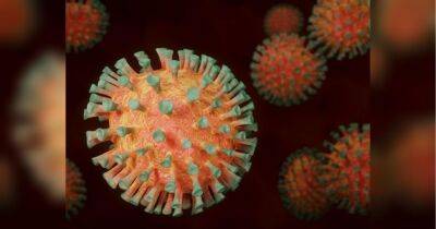 ВОЗ официально объявила об окончании пандемии коронавируса